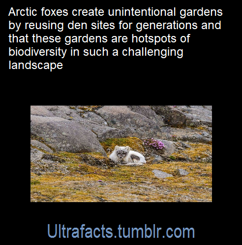 ultrafacts: Source: [x] Follow Ultrafacts for more facts! 
