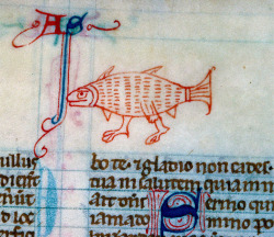 Randomencounters:  Discardingimages:  Walking Fish Bible, England 13Th Century.