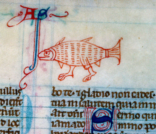 randomencounters: discardingimages: walking fish Bible, England 13th century. Alençon, B