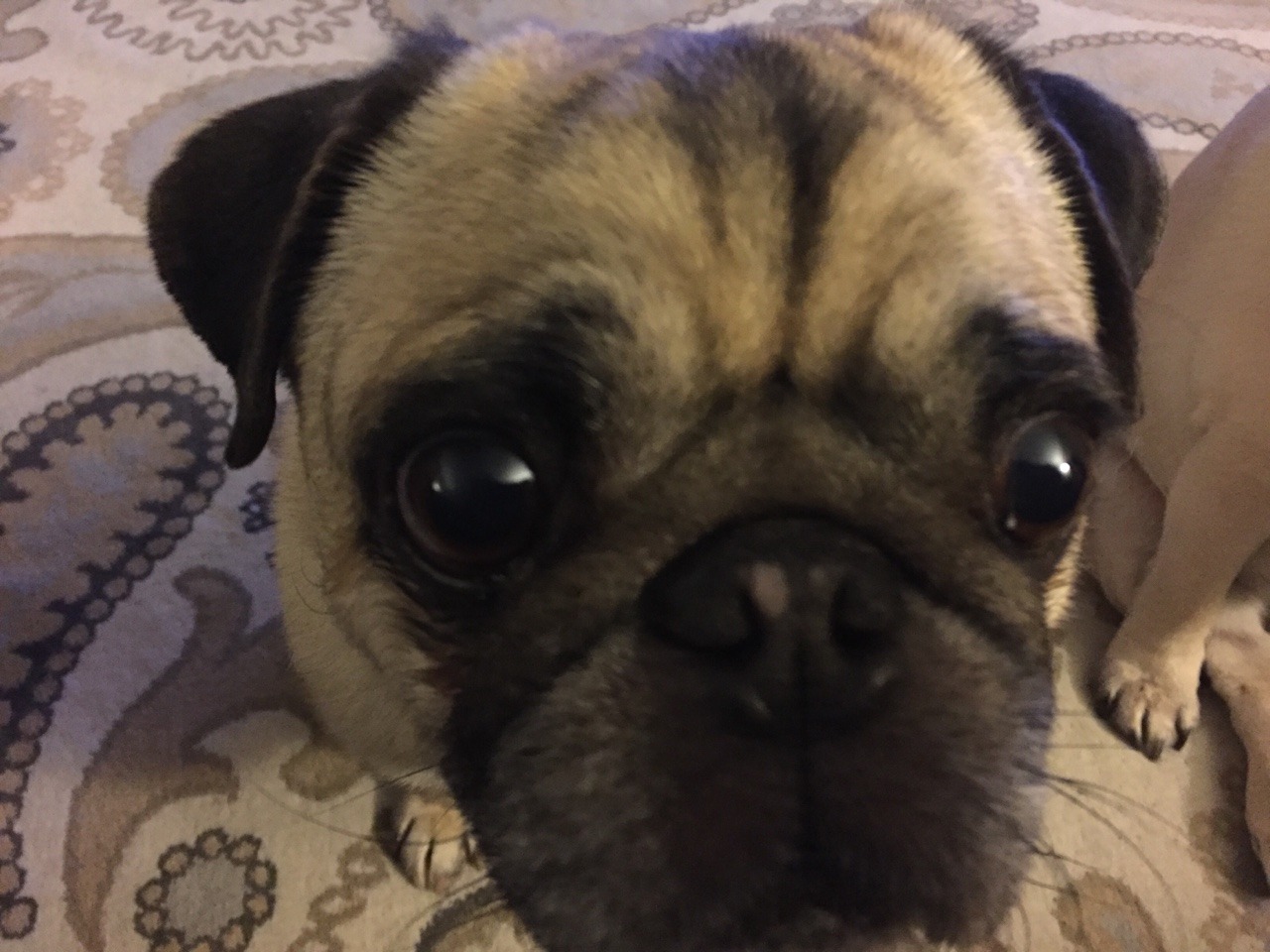 teahupooandgimli:  Two beggars