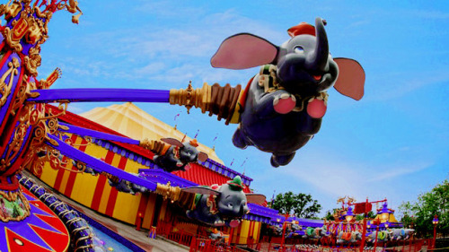 Walt Disney World | Magic Kingdom | Fantasyland↪   Dumbo the Flying Elephant