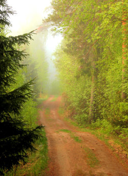 heyfiki:  country road .. by KariLiimatainen