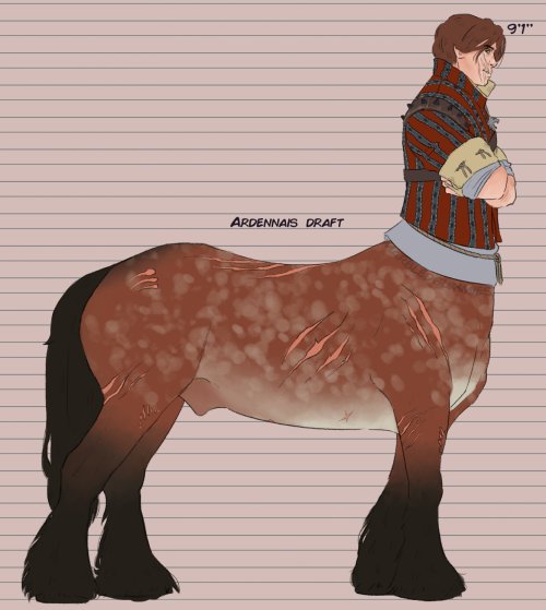  the long awaited centaur au side by sides!! along w some individuals bc i know tungle will absolute