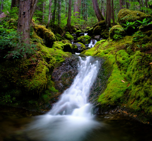 Wet Weather Creek by Hesmeister