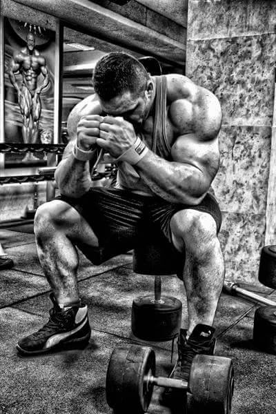 Reza Zinatlou