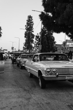 gardenofrezervita:Leimert Park  - Crenshaw