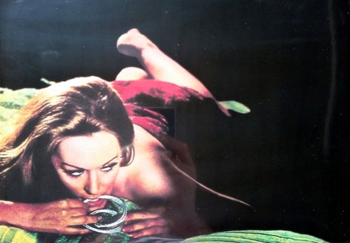 psychedelicway:  Le Foto Proibite Di Una Signora Per Bene (1974) 