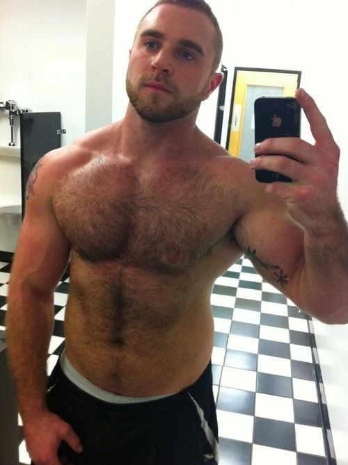 What This Bear Likes