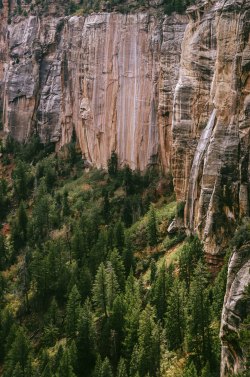 jasperfeels:  coconino cliffs (grand canyon)