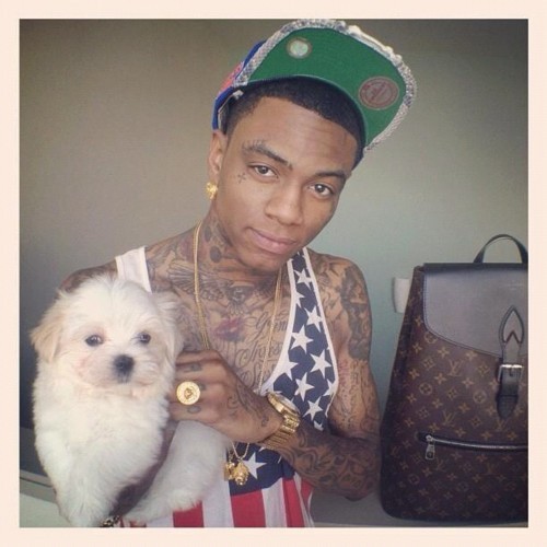 rocknrollercoaster:  Rappers with puppies. 