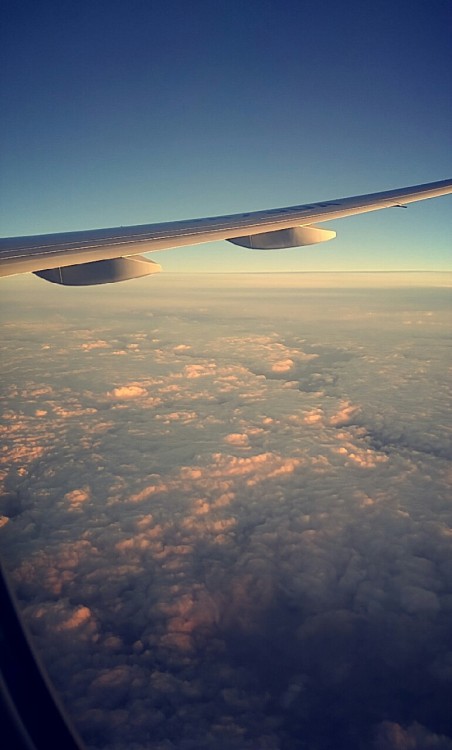 Visions of earth. NRT-JFK