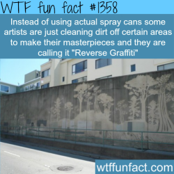 wtf-fun-factss:  “Reverse Graffiti”