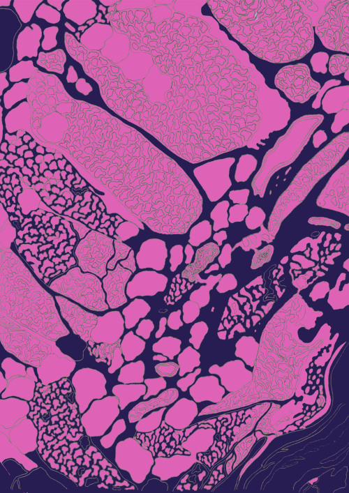 microscopic drawing of a heart i did n then digitally coloured:)