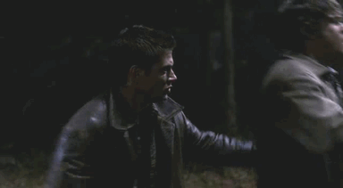 sammy-samulet:  guardian: /noun/   a defender, protector, or keeper.   
