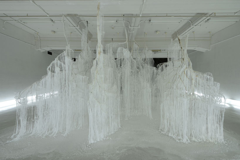 unpredictablenature-blog: Crystallized Forest by Yasuaki Onishi