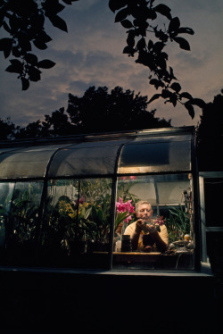 natgeofound:An amateur orchid grower works in the window of his greenhouse in Silver Spring, Maryland, April 1971.Photograph by Gordon Gahan, National Geographic