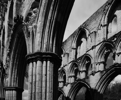 Rievaulx Abbey Monochrome Images, 23.5.15.