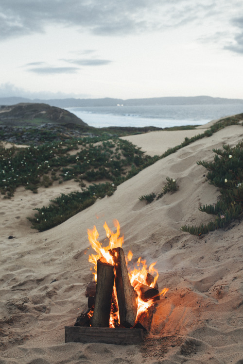 imbradenolsen:camp fire at the beach in Monterey