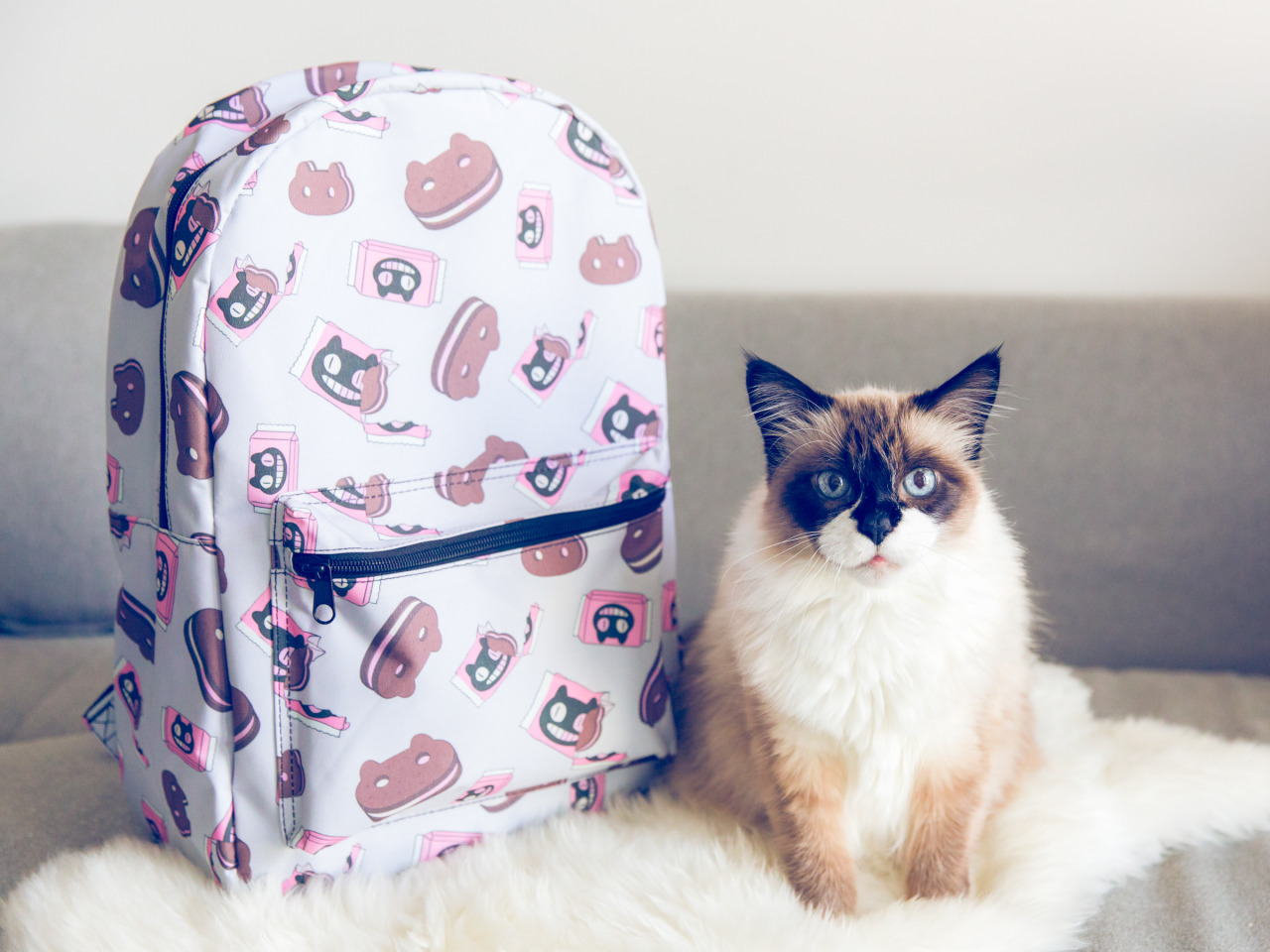 Cookie Cat backpack is cat approved. Get yours now from Hot Topic!