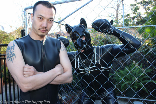 Rubber Pup @secapup with Master Kelvin porn pictures