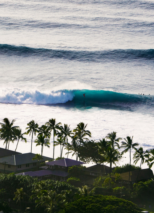 surf4living:From a different angle. Ph: Steve Lippman X