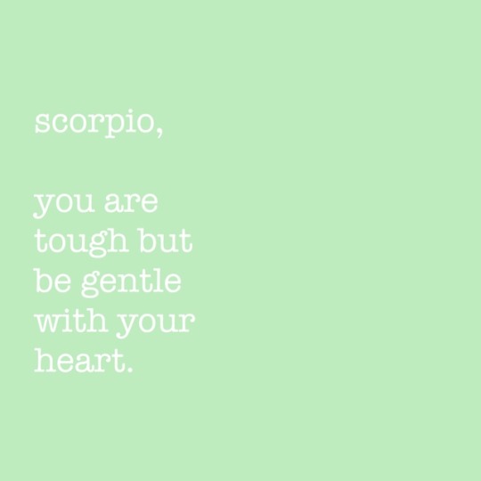 zodiacsociety:  [text] scorpio, you are fought but be gentle with your heart.[x]