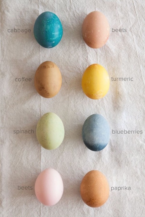 itsthesmallthing:Colours of EasterSpringhttp://pin.it/K-btYyO