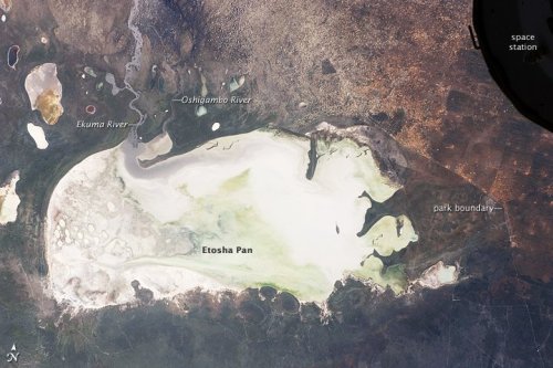 Etosha PanIn the Northern plains of Namibia lies the skeleton of a great lake that died of thirst mi