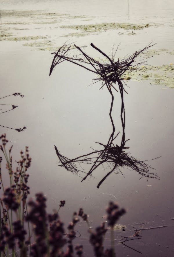 artafrica:  Land Art by Simon Max Bannister, South Africa.  