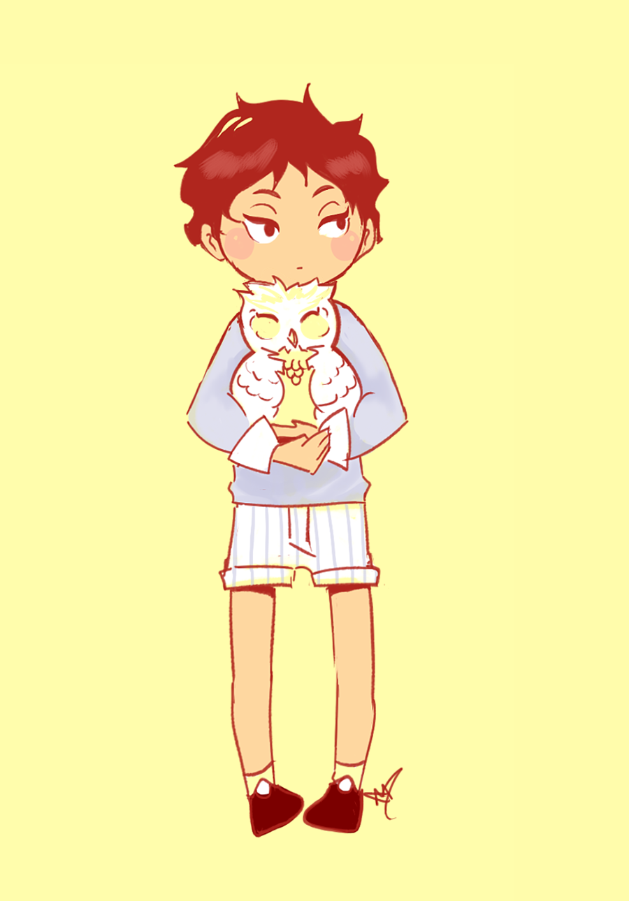 yaboykeiji:  little setters   ｡◕‿◕｡  
