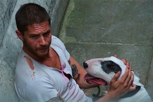 Porn photo men-of-the-movies:  Tom Hardy’s love for
