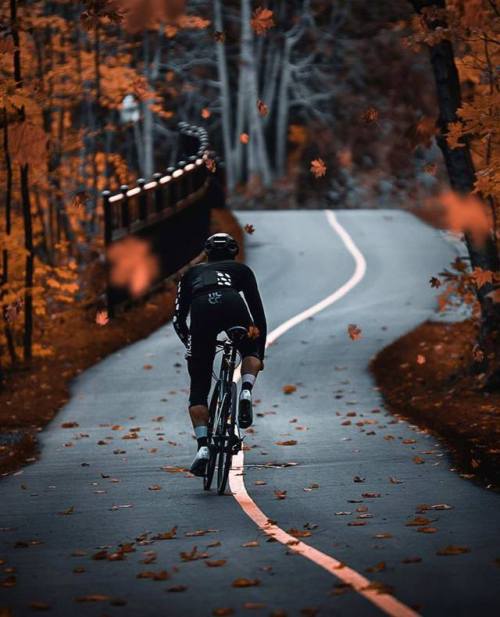apisonadora60:  Alex Cormier hitting the autumny roads of Quebec. What’s your favourite season to ri