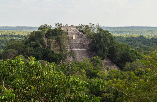 A massive pyramid in the Maya site of Calakmul (Campeche, Mexico).  At 45 metres tall, it is one of 