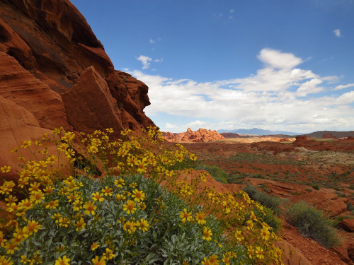 Porn Pics ps1:  Valley of Fire State Park