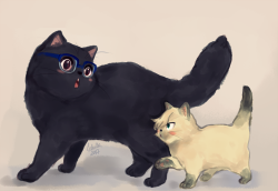 o-m-g-yurotabek:sekaiichiyaoi:  artscholla:I’m officially not over this art with Yuuri and Yuri as cats #neko!!! on ice  Soooo cuteee