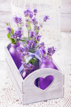 bete67:  Obrigada  Lavender