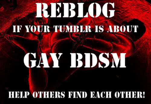 Reblog if your tumblr is about gay bdsm porn pictures