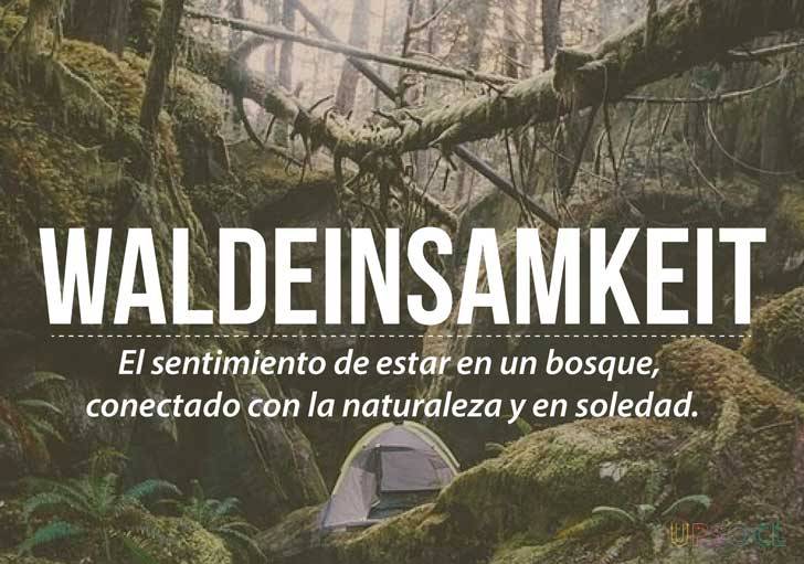 somospandaspordentroyporfuera:  Palabras hermosas en otros idiomas ½-Una chica invisible. 