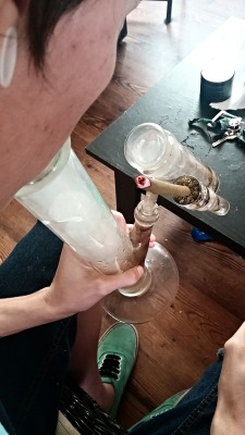 marybriannna:theycallme-cowboykelso:  marybriannna:  quixoticramblins:  injecting marjanas not even ONCE  😂😂😂^^^  Now that’s a good lookin time bomb, I tell ya what.  Indeed it wasss 🙀👌