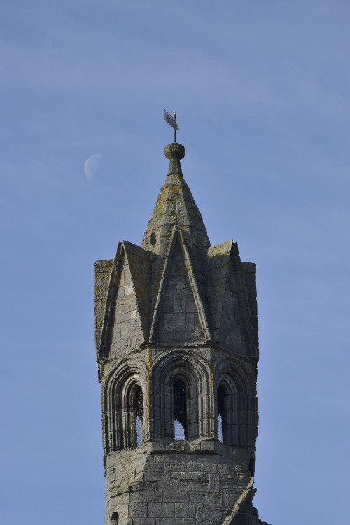 on-misty-mountains: St Andrews CathedralBuilt in 1158, the cathedral became the centre of the Mediev