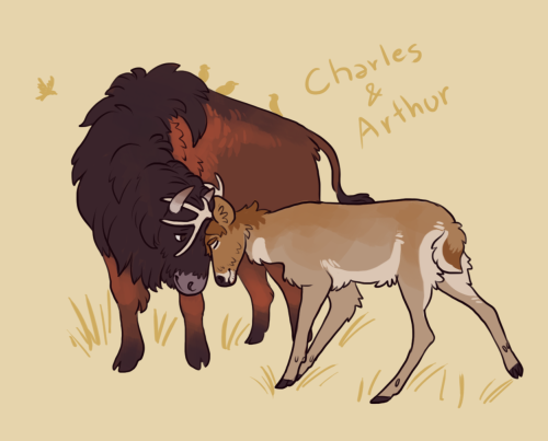 Charthur and Jovier for @rcris123 <3