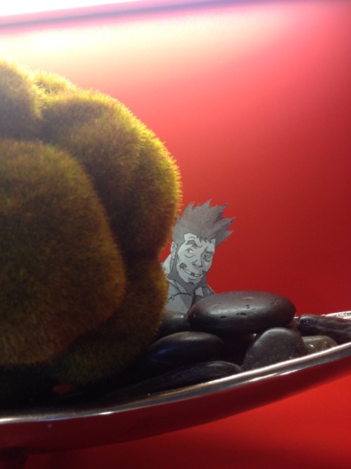 equalistmako:  I stuck Gommu behind this thing like a week ago and not a soul has noticed or taken him down