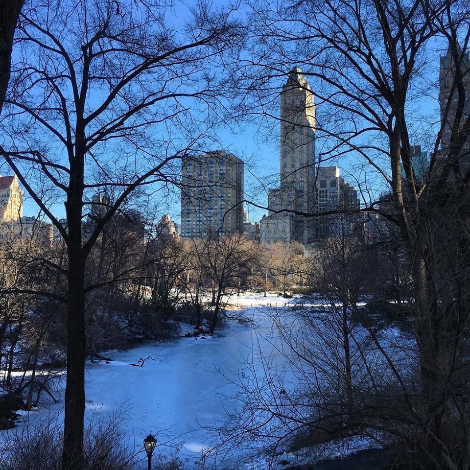 farmvilleteacheraddict:  Central Park, NY