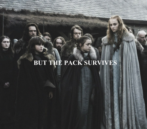 azorsnark:The winters are hard. But the Stark’s will endure. We always have. 