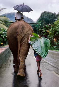 asherit:  Sri Lanka