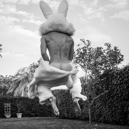 sanalejox:#HolyWeek and #Easter #Holidays our #Bunny #CaseyLevens by #ScottTeitler