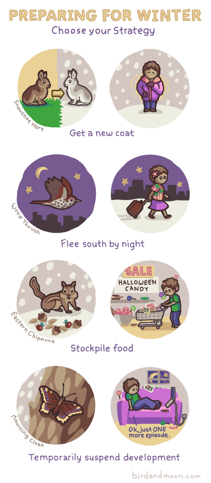 birdandmoon:
“It’s finally getting chilly. Here’s a comic I made last year. Winter is coming - choose your strategy!
The original is on my site here.
”