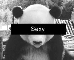 (im)perfect