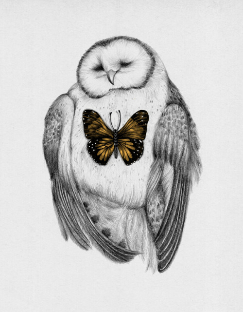 lohrien:  Illustrations by Peony Yip tumblr l society6