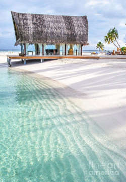 luxylicious:  Fashion - Luxury - Summer - Lifestyle xxxx